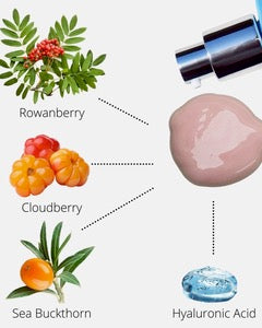 Zertifizierte Bio-Tagescreme mit Sanddorn und Hyaluronsäure